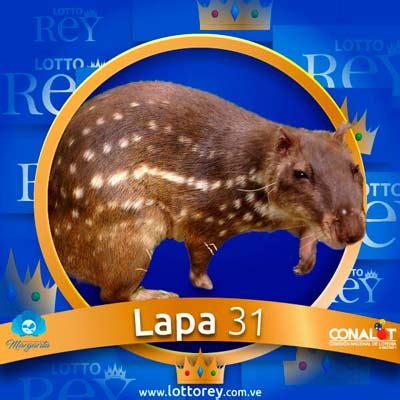 resultados centro de apuestas el rey|Resultados Lotto Rey, Centro de apuestas El Rey, Animalitos.